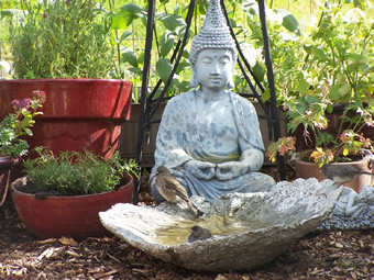 Zen