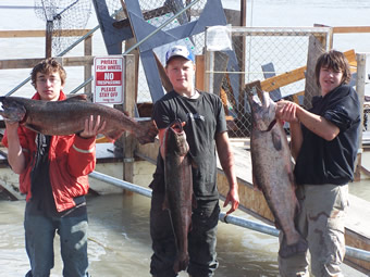 Salmon Fishing